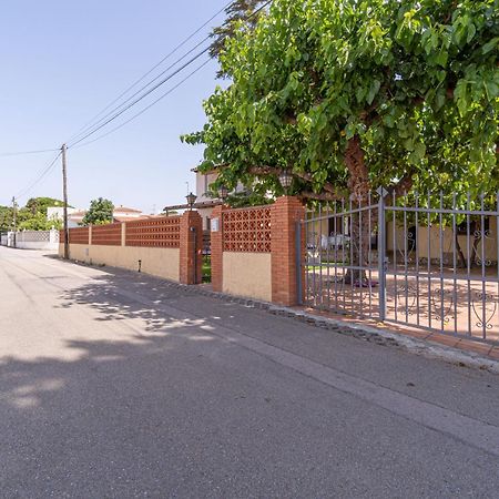 Apart-Rent Casa Con Jardin Pani 0081 Empuriabrava Exterior photo